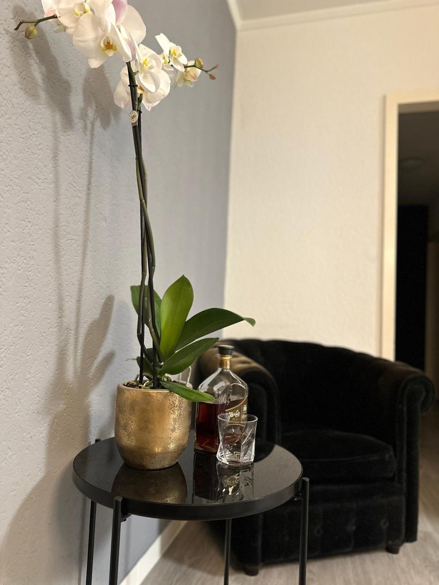 Lindo Apartamento En El Centro De Lausanne Exteriör bild
