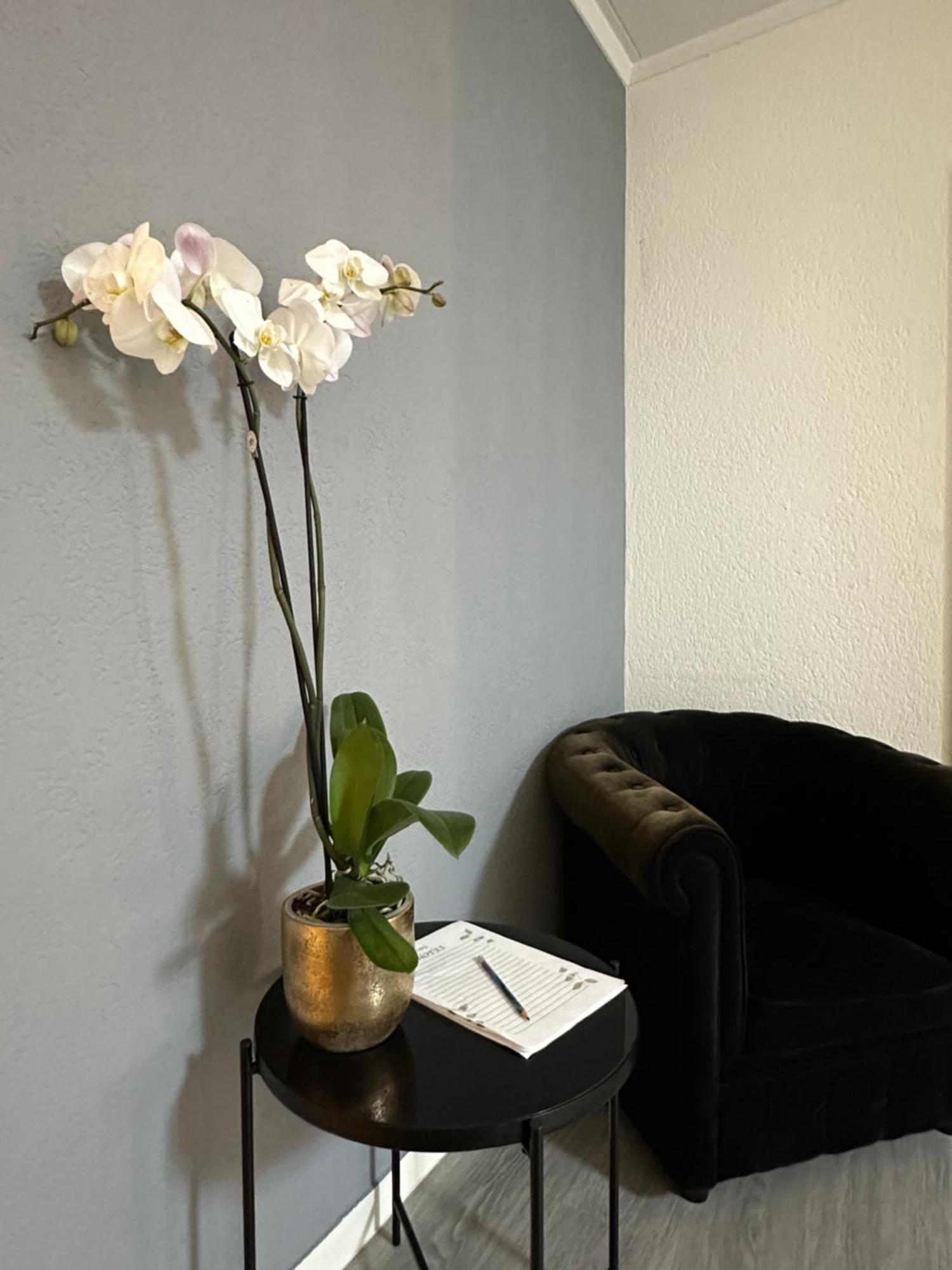 Lindo Apartamento En El Centro De Lausanne Exteriör bild